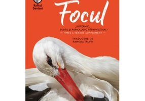 Focul - Daniela Krien
