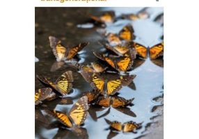 Depresia mostenita transgenerational - Sylvie Tenenbaum