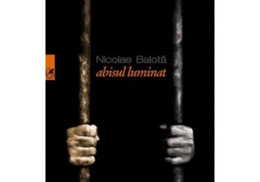 Abisul luminat - Nicolae Balota