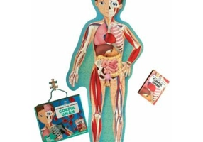 Calatoreste, invata, exploreaza. Corpul uman - Matteo Gaule