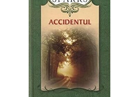 Accidentul (editie de buzunar) - Nicholas Sparks