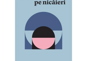 Nu te gasesc pe nicaieri - Laura Ionescu