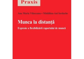 Munca la distanta. Expresie a flexibilizarii raportului de munca - Ana-Maria Vlasceanu, Madalina Ani Iordache