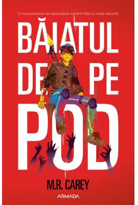 Baiatul de pe pod