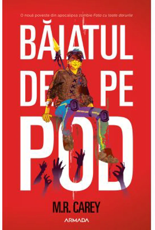 Baiatul de pe pod