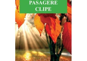 Pasagere clipe - Carmen Lidia Gorunescu