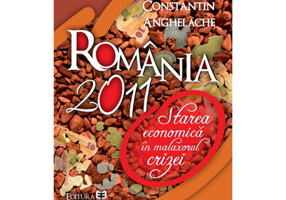 Romania 2011: starea economica in malaxorul crizei - Constantin Anghelache
