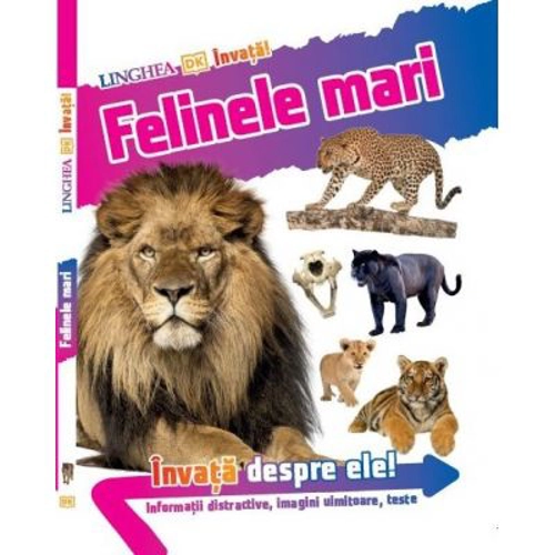 Invata! Felinele mari