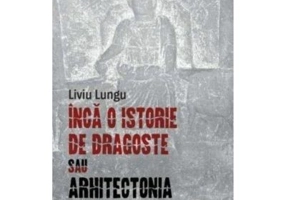 Inca o istorie de dragoste sau arhitectonia unui chip cioplit - Liviu Lungu