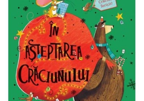 In asteptarea Craciunului - Betina Gotzen-Beek