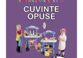 Sunt mic si vreau sa aflu. Cuvinte opuse