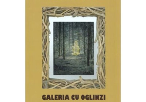 Galeria cu oglinzi. Portrete pentru fiul meu - Petru Frasila