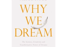 Why We Dream - Alice Robb