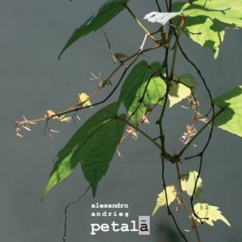Petala - Alexandru Andries