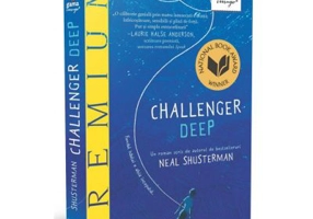 Challenger Deep - Neal Schusterman