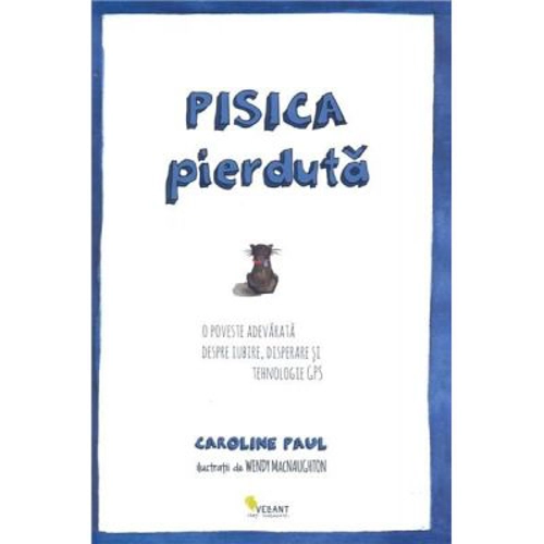 Pisica pierduta