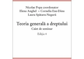 Teoria generala a dreptului. Caiet de seminar. Editia 4 - Nicolae Popa