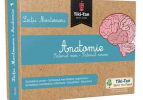 Lectii de Anatomie: Sistemul osos. Sistemul nervos