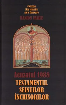 Acuzatul 1988 - Danion Vasile