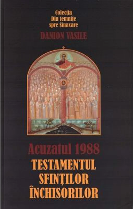 Acuzatul 1988 - Danion Vasile