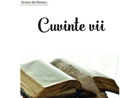 Cuvinte vii - Petru Deznan