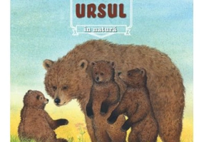 Ursul - Renne