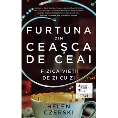 Furtuna din ceasca de ceai. Fizica vietii de zi cu zi
