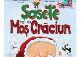 Sosete pentru Mos Craciun - Adam Guillain