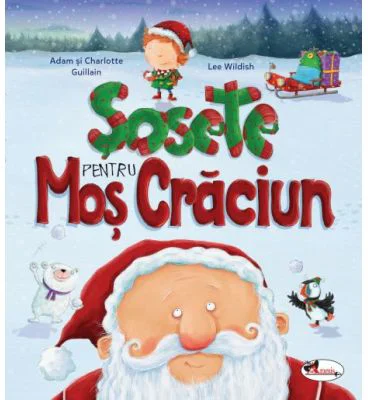 Sosete pentru Mos Craciun - Adam Guillain