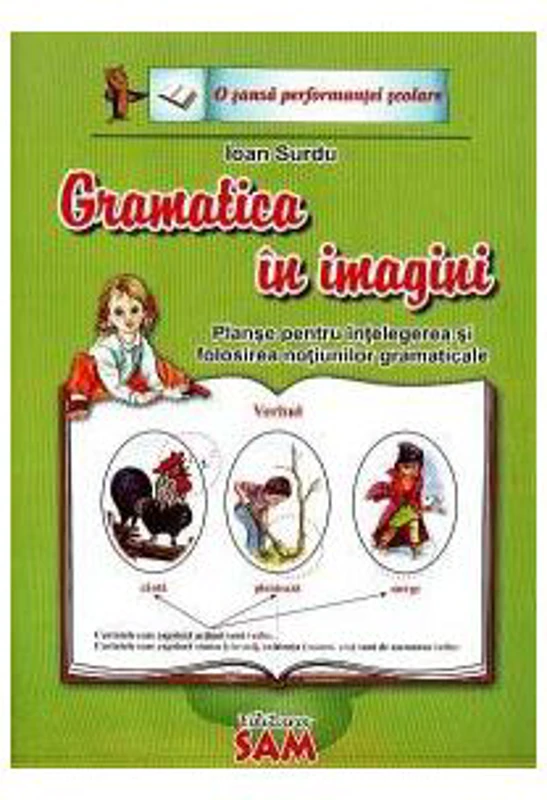 Gramatica in imagini - Planse pentru intelegerea si folosirea notiunilor gramaticale