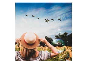 Bucuria de a trai - Anne Ancelin Schutzenberger