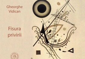 Fisura privirii - Gheorghe Vidican