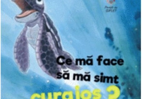 Ce ma face sa ma simt curajos? - Heidi Howarth