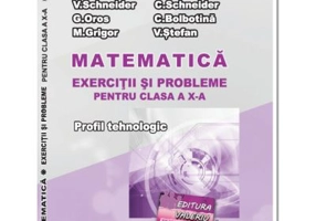 Matematica Exercitii si probleme pentru clasa a 10-a. Profilul Tehnologic - Virgiliu Schneider