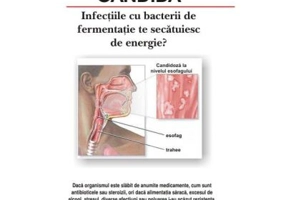 Candida - Shirley Trickett