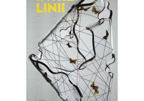 Intre linii - Stefan Damian