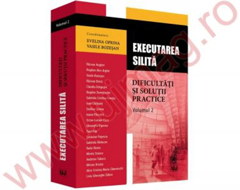 Executarea silita. Dificultati si solutii practice. Volumul 2