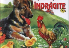 Animale indragite - pliant cartonat