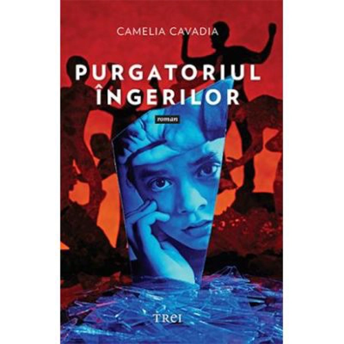 Purgatoriul ingerilor - Camelia Cavadia