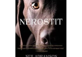 Nerostit - Neil Abramson