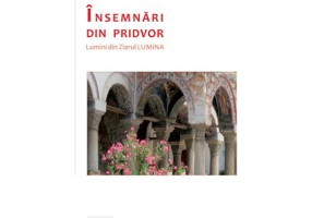 Insemnari din pridvor - Daniela Sontica