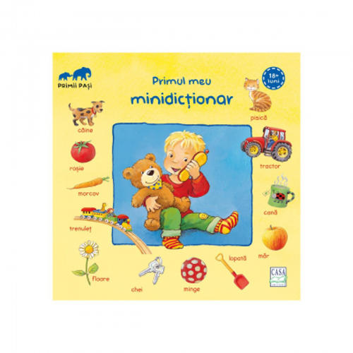 Primul meu minidictionar