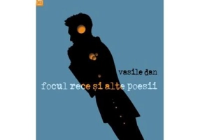 Focul rece si alte poesii - Vasile Dan