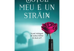 Sotul meu e un strain - Anna Bell
