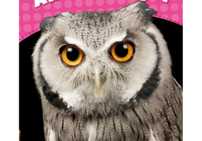 Level 2. Awake at Night CLIL - Laura Miller