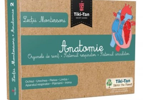 Lectii de anatomie: Organe de simt. Sistemul respirator. Sistemul circulator