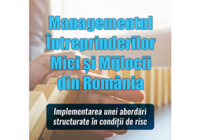 Managementul intreprinderilor mici si mjlocii din Romania. Implementarea unei abordari structurate in conditii de risc