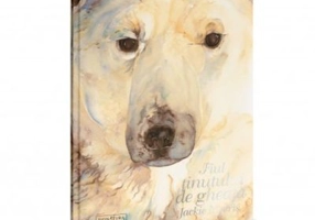 Fiul tinutului de gheata - Jackie Morris