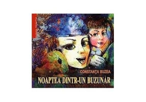 Noaptea dintr-un buzunar - Constanta Buzea