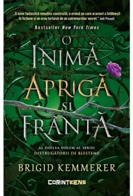 O inima apriga si franta (vol. 2 din seria Distrugatorii de blesteme) - Brigid Kemmerer